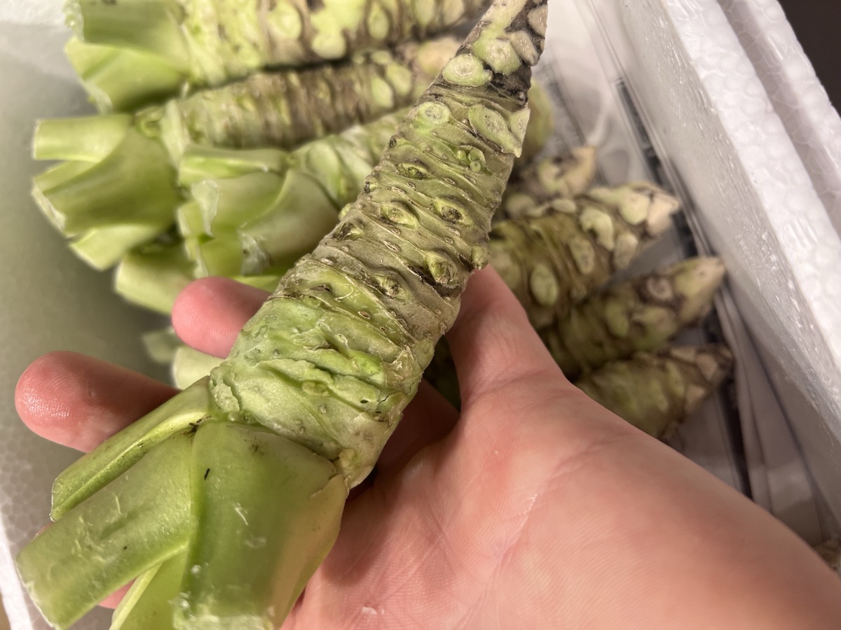 鮨創作割烹ちく・本山葵